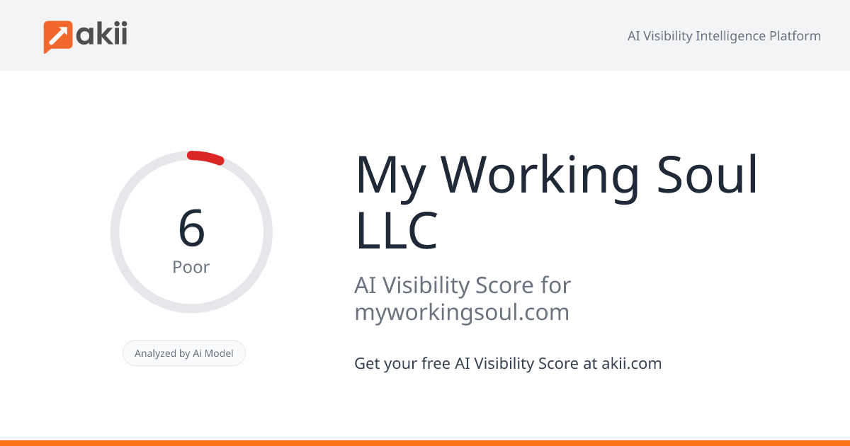 My Working Soul LLC AI Visibility Score
