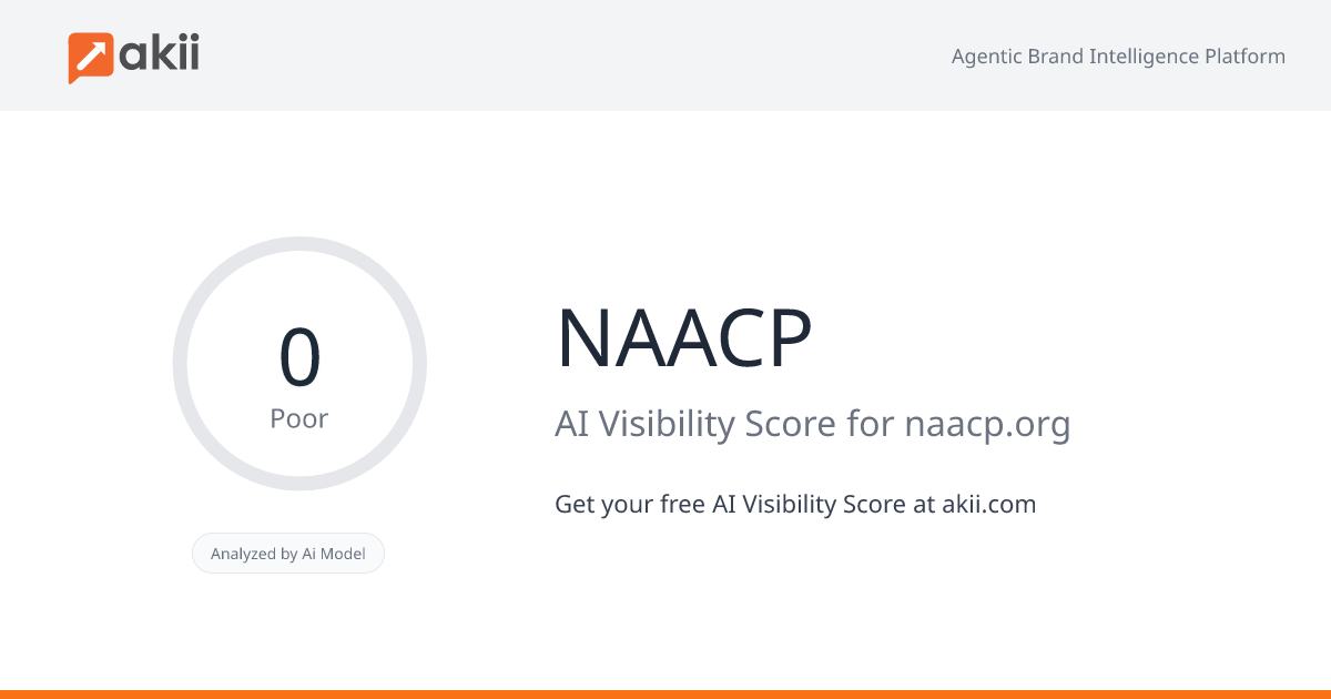 NAACP AI Visibility Score