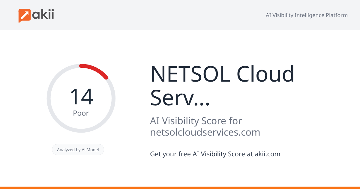 NETSOL Cloud Services AI Visibility Score