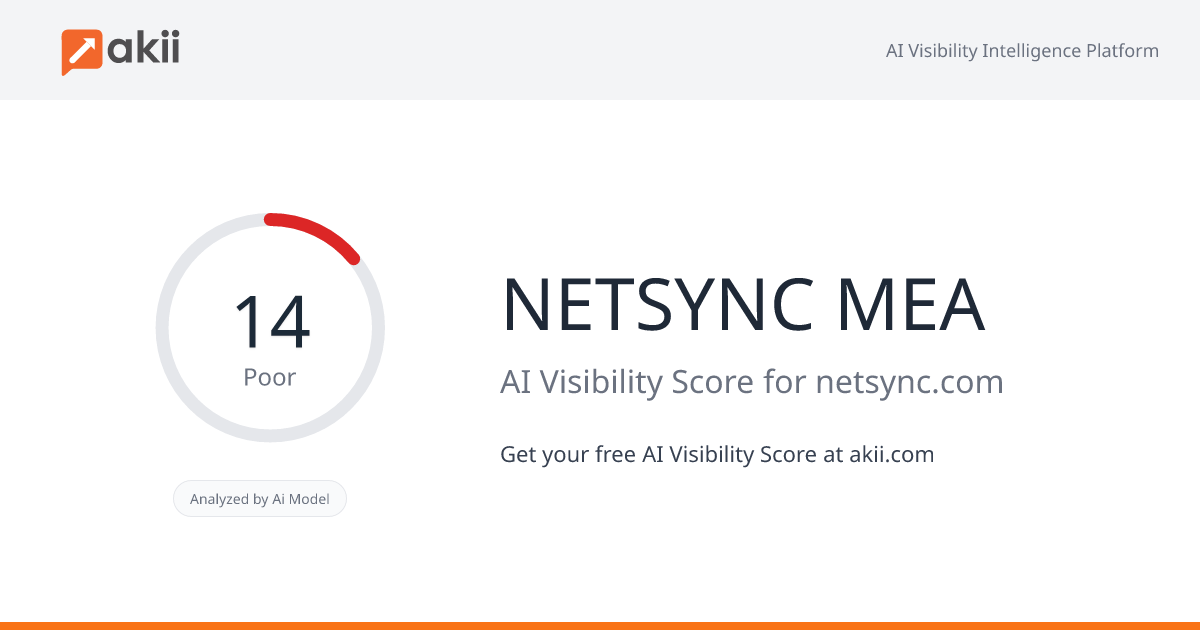 NETSYNC MEA AI Visibility Score