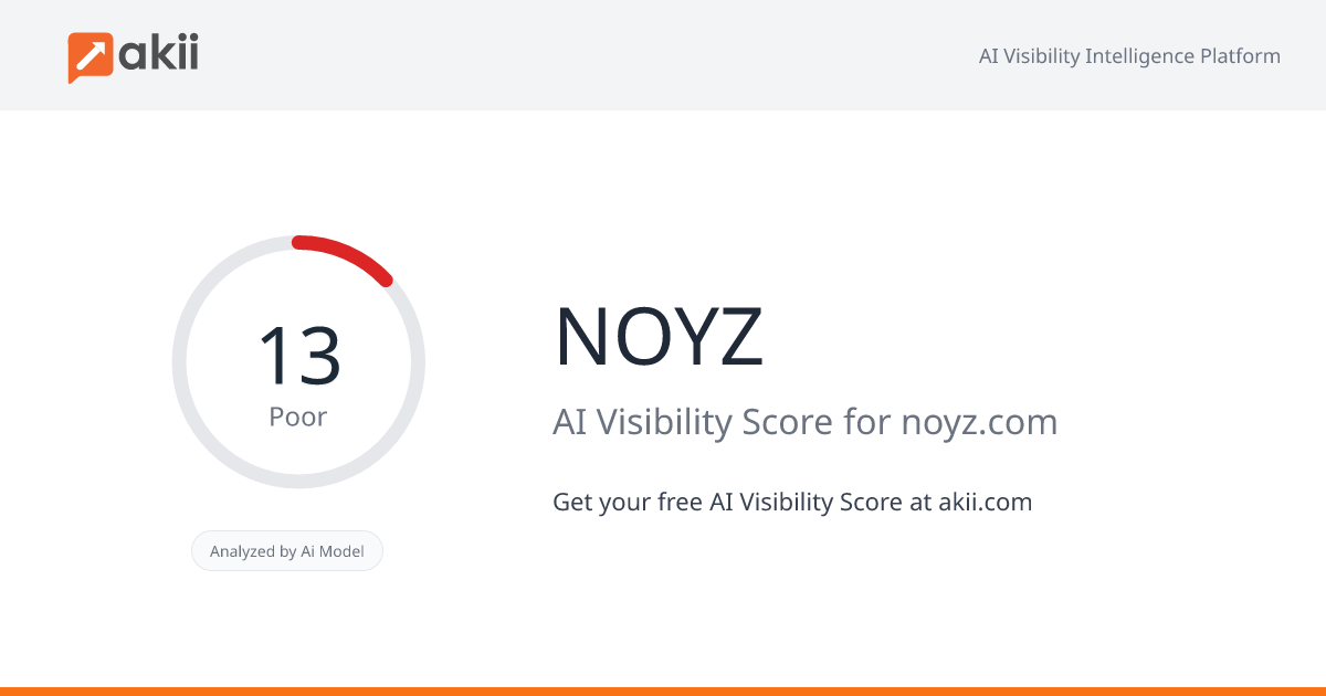 NOYZ AI Visibility Score