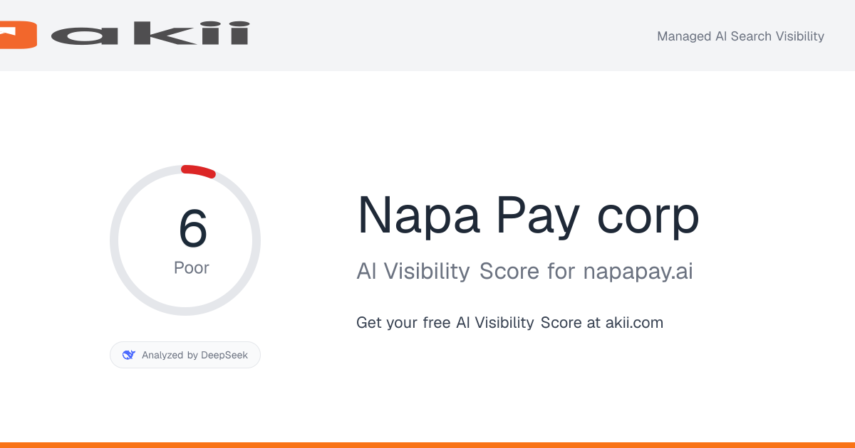 Napa Pay corp AI Visibility Score preview