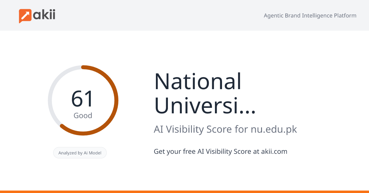 National University of Computer and Emerging Sciences AI Visibility Score
