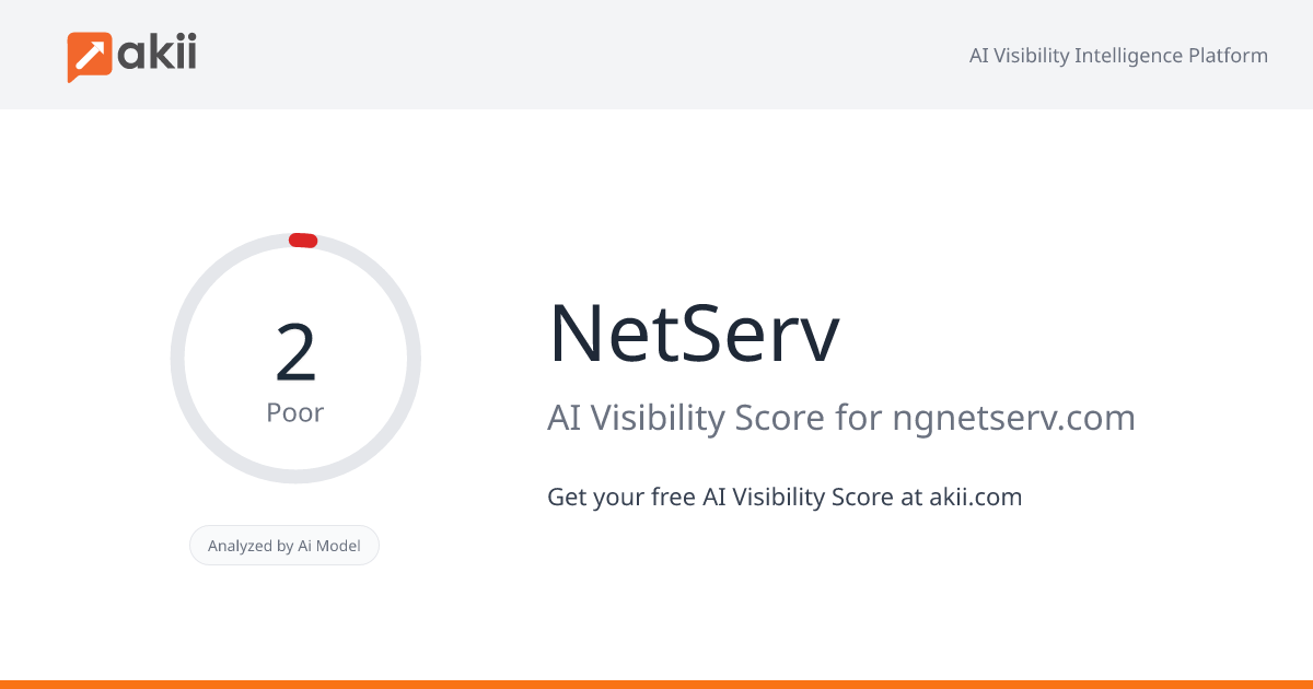 NetServ AI Visibility Score