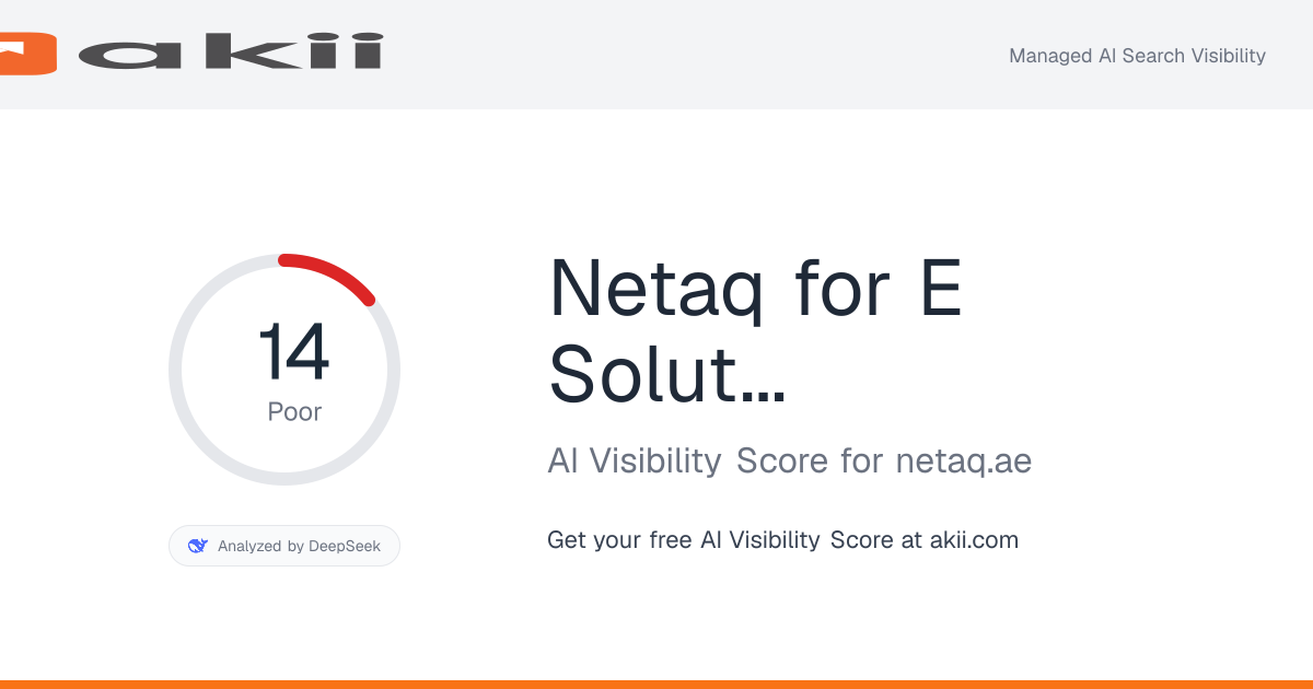 Netaq for E-Solutions AI Visibility Score preview