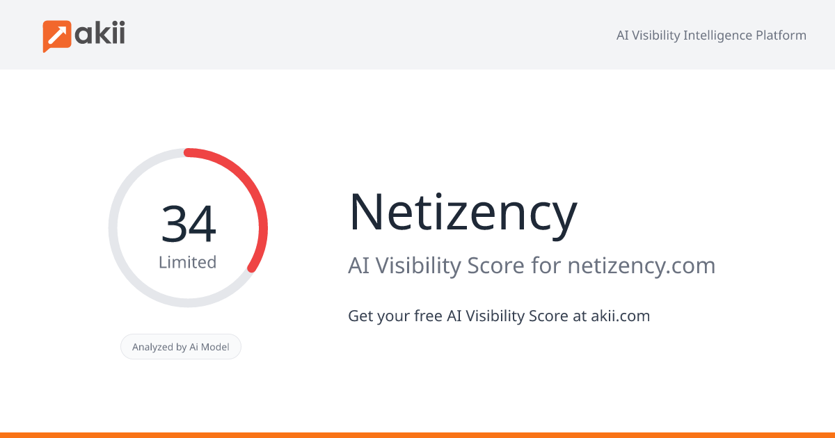 Netizency AI Visibility Score