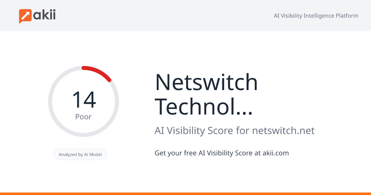 Netswitch Technology Management AI Visibility Score