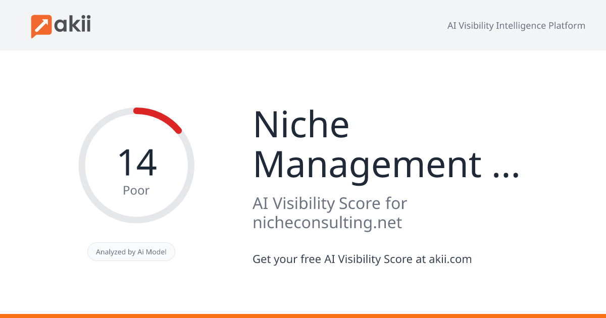 Niche Management Consulting AI Visibility Score