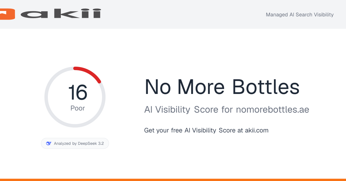 No More Bottles AI Visibility Score preview