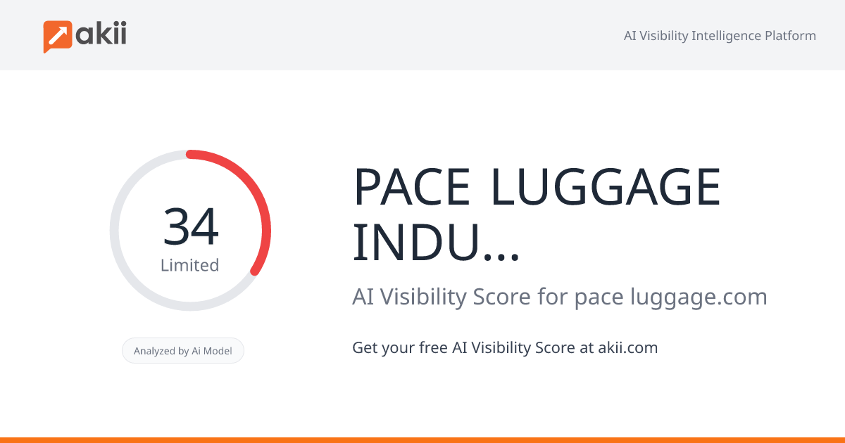 PACE LUGGAGE INDUSTRIES AI Visibility Score