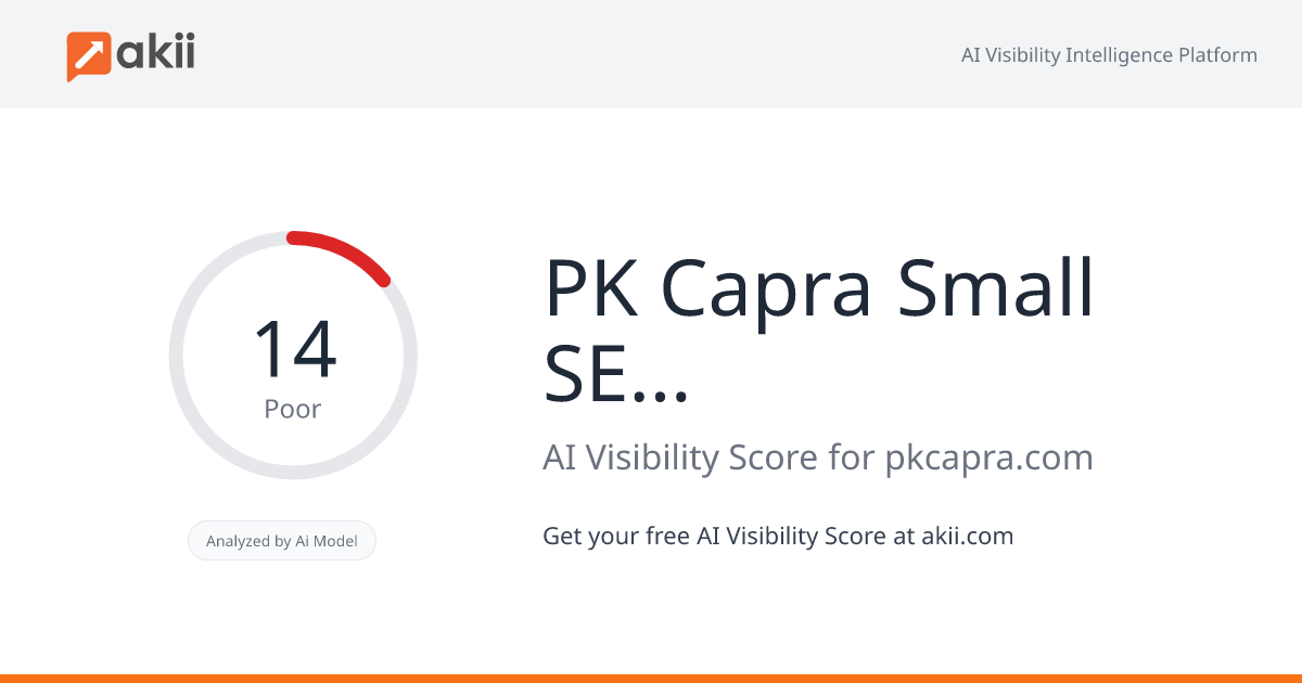 PK Capra Small SEO Tools AI Visibility Score
