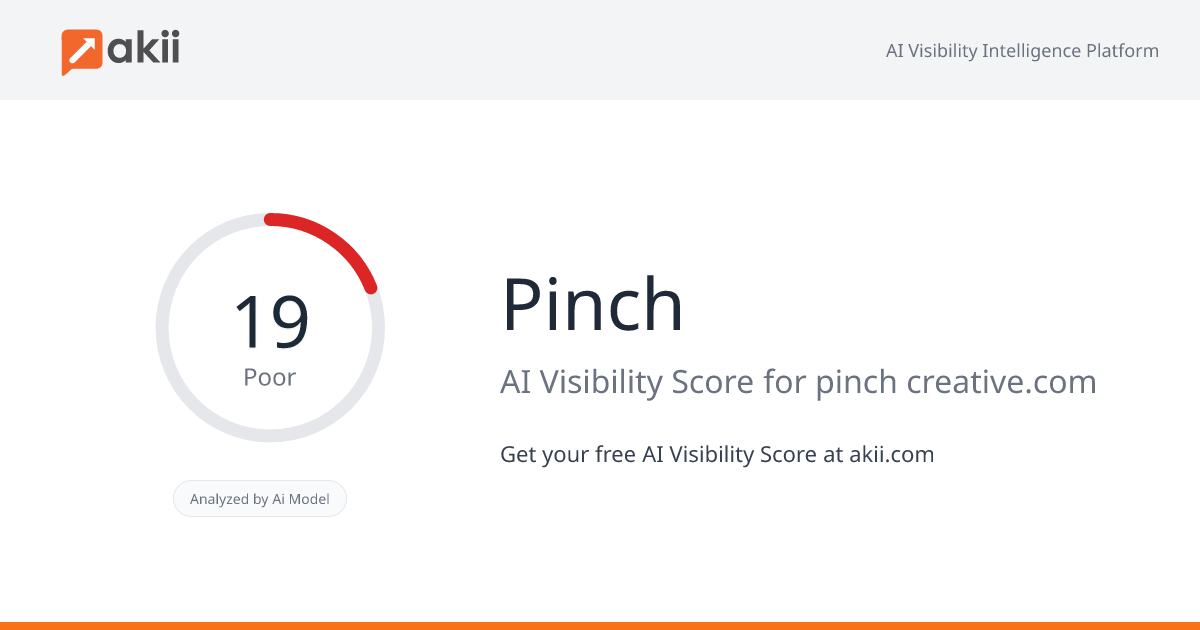 Pinch AI Visibility Score