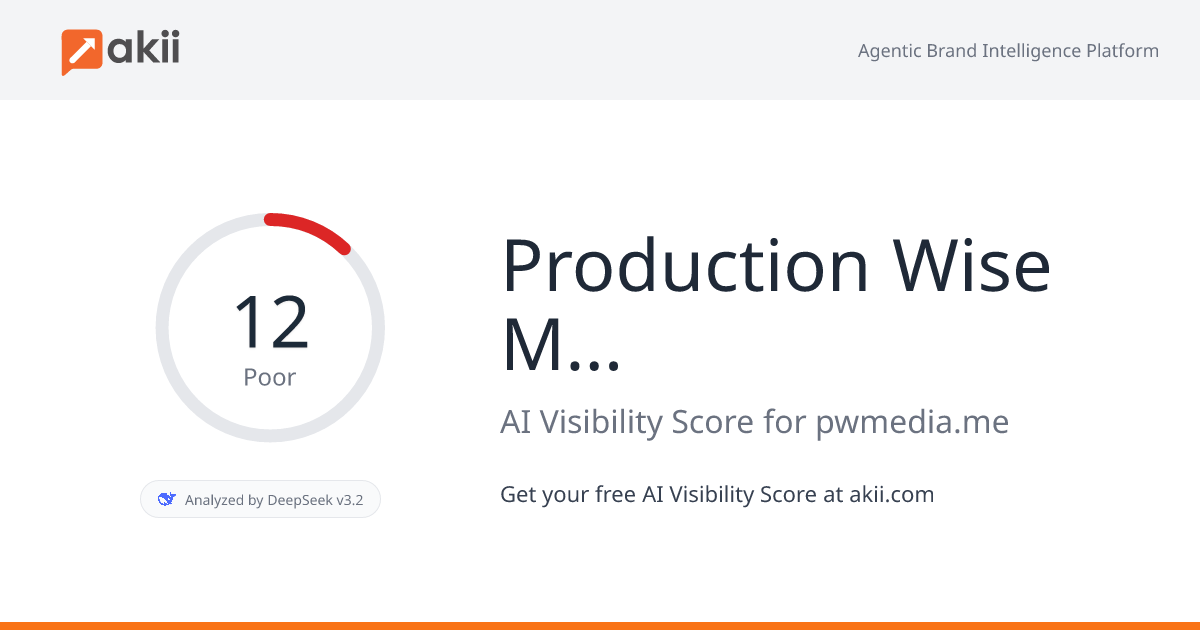 Production Wise Media AI Visibility Score
