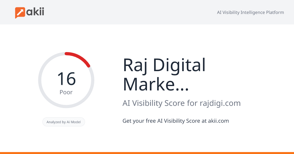 Raj Digital Marketing Fz LLC AI Visibility Score