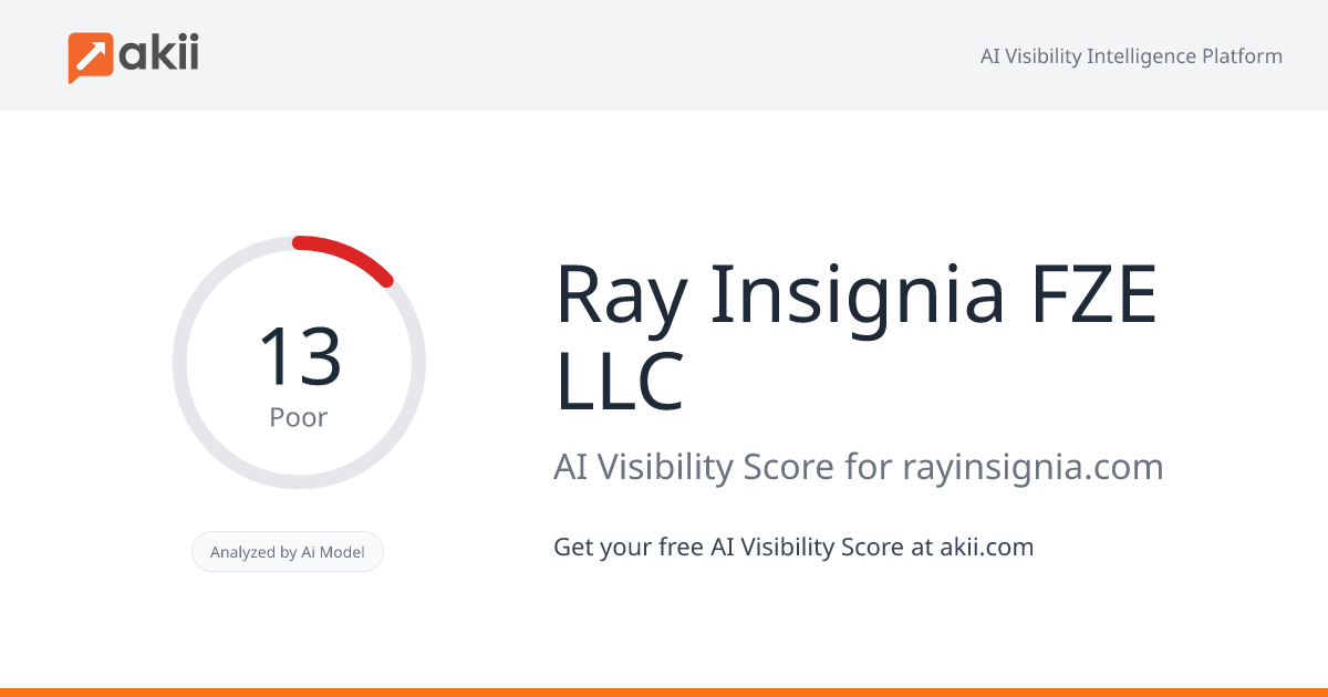 Ray-Insignia FZE LLC AI Visibility Score