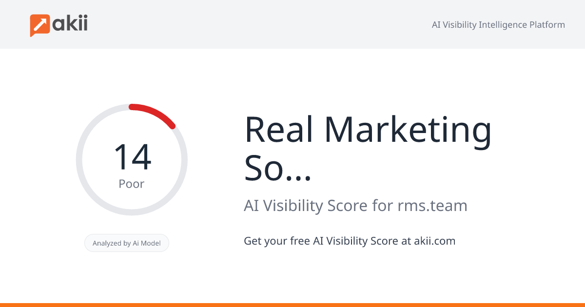 Real Marketing Solutions AI Visibility Score