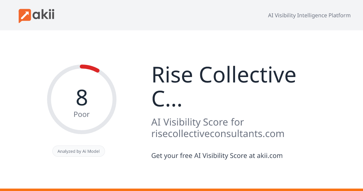 Rise Collective Consultants AI Visibility Score