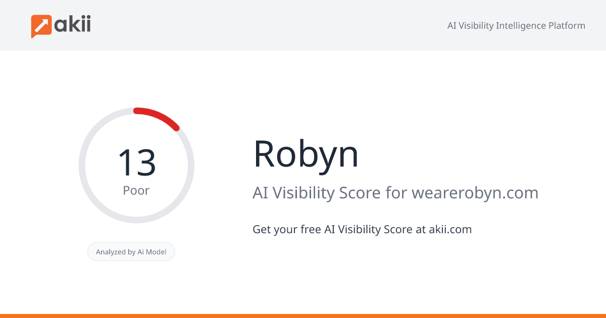 Robyn AI Visibility Score