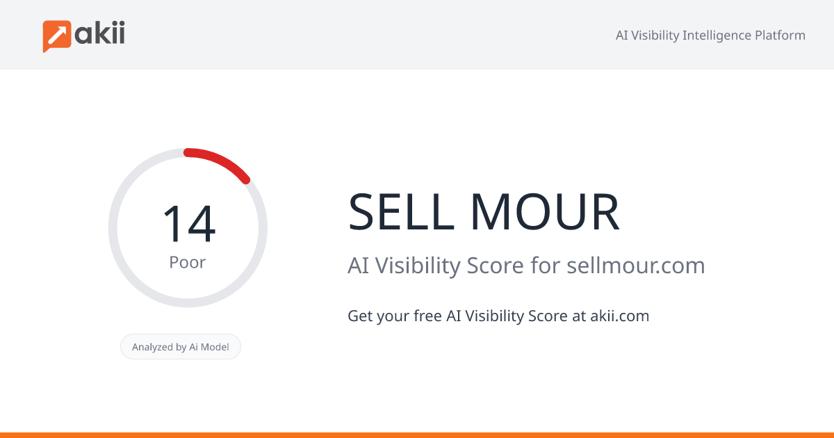 SELL MOUR AI Visibility Score