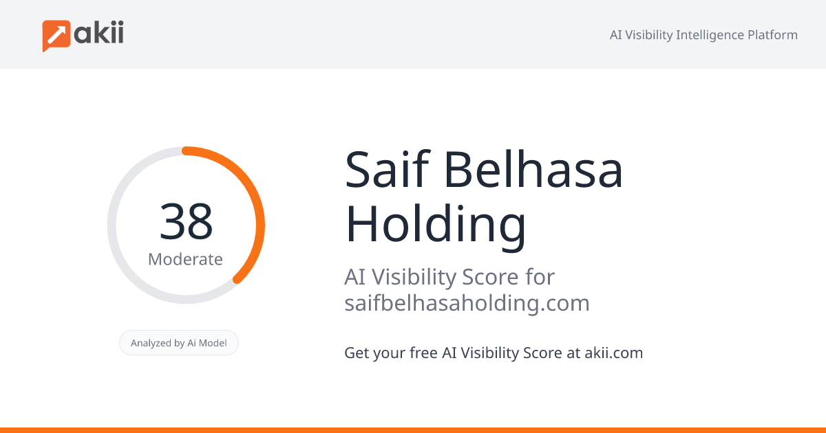 Saif Belhasa Holding AI Visibility Score