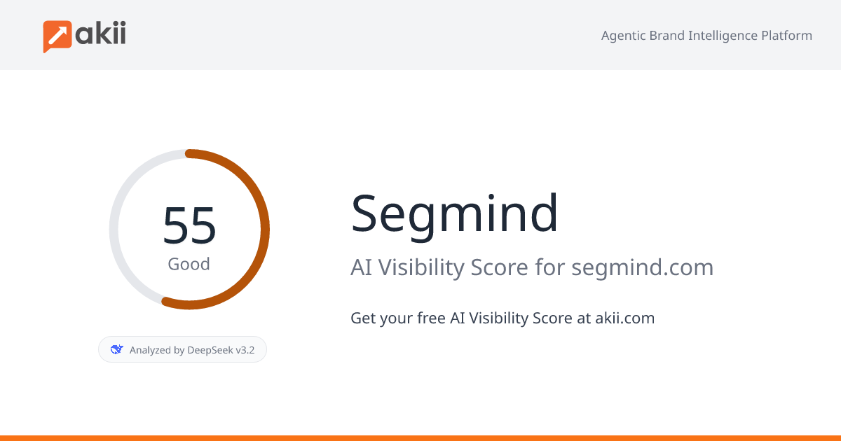 Segmind AI Visibility Score