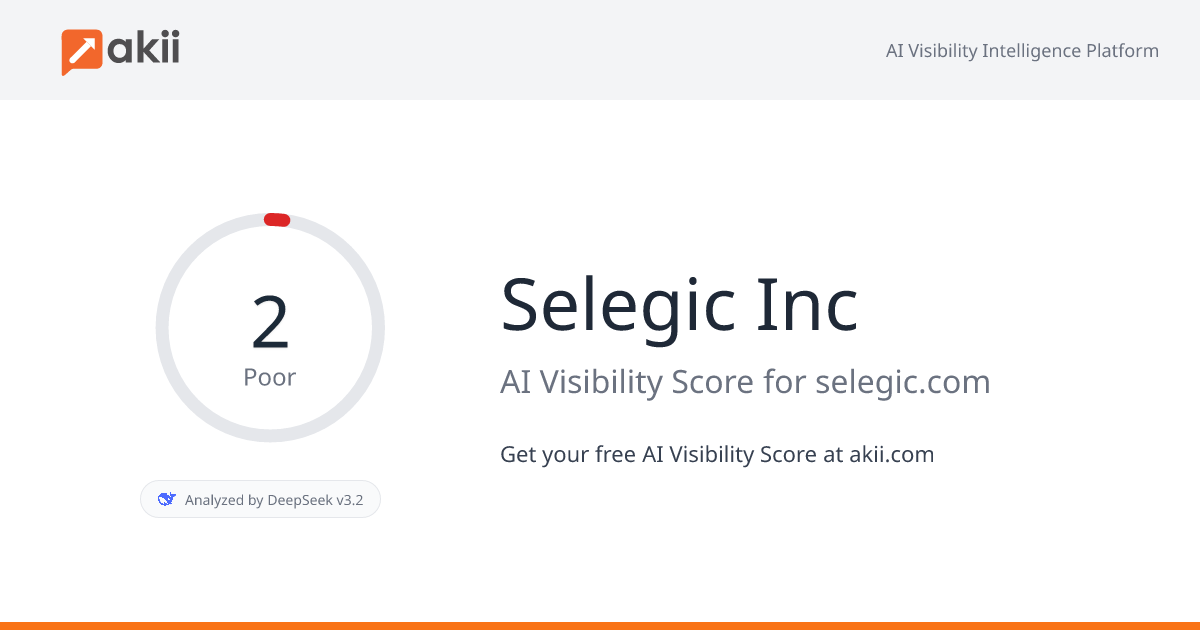 Selegic Inc AI Visibility Score