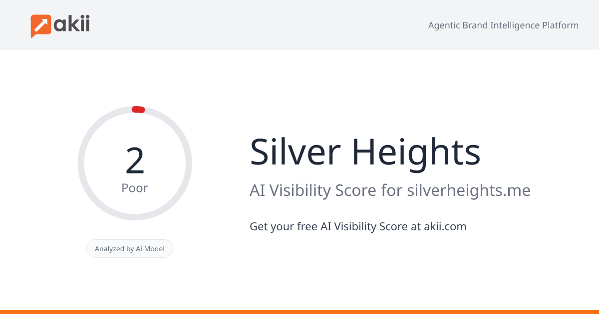 Silver Heights AI Visibility Score