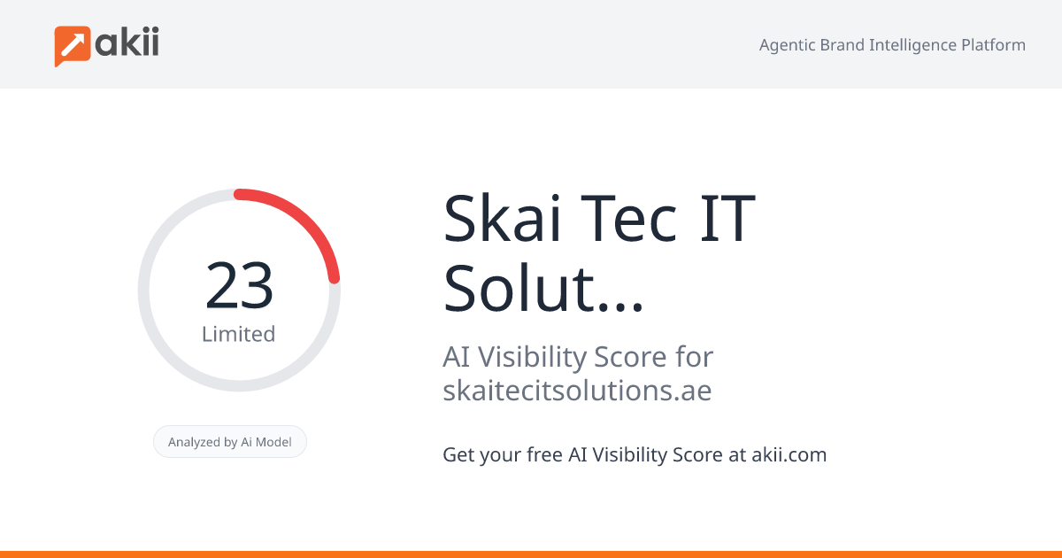Skai Tec IT Solutions LLC AI Visibility Score