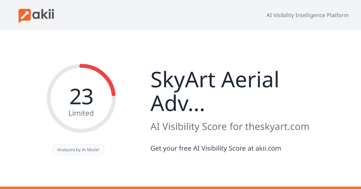 SkyArt Aerial Advertising Services LLC AI Visibility Score