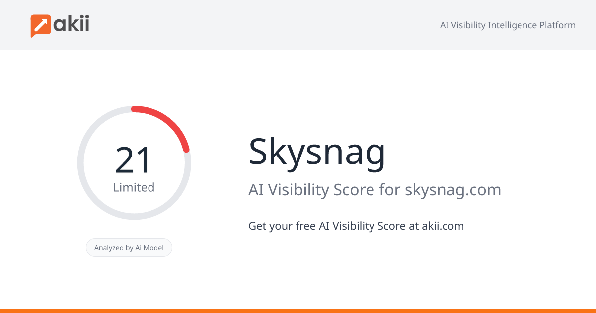 Skysnag AI Visibility Score