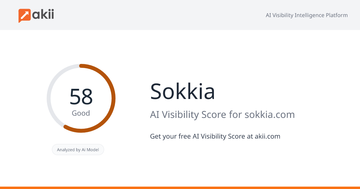 Sokkia AI Visibility Score