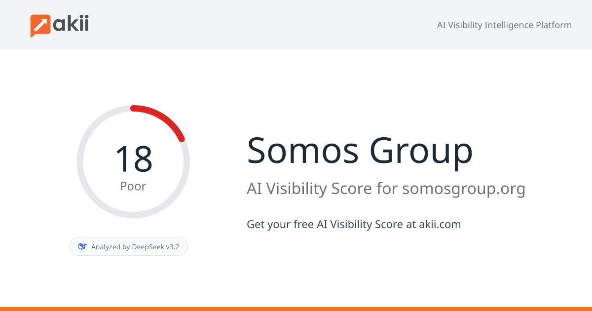 Somos Group AI Visibility Score