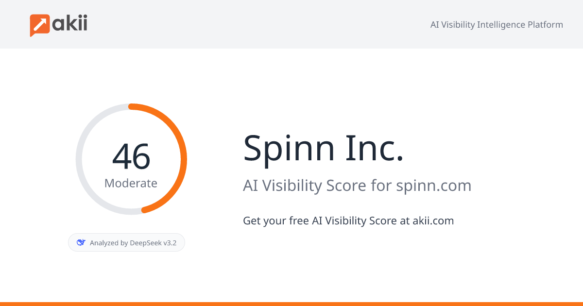 Spinn Inc. AI Visibility Score