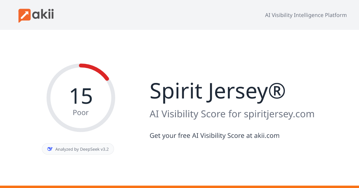 Spirit Jersey® AI Visibility Score