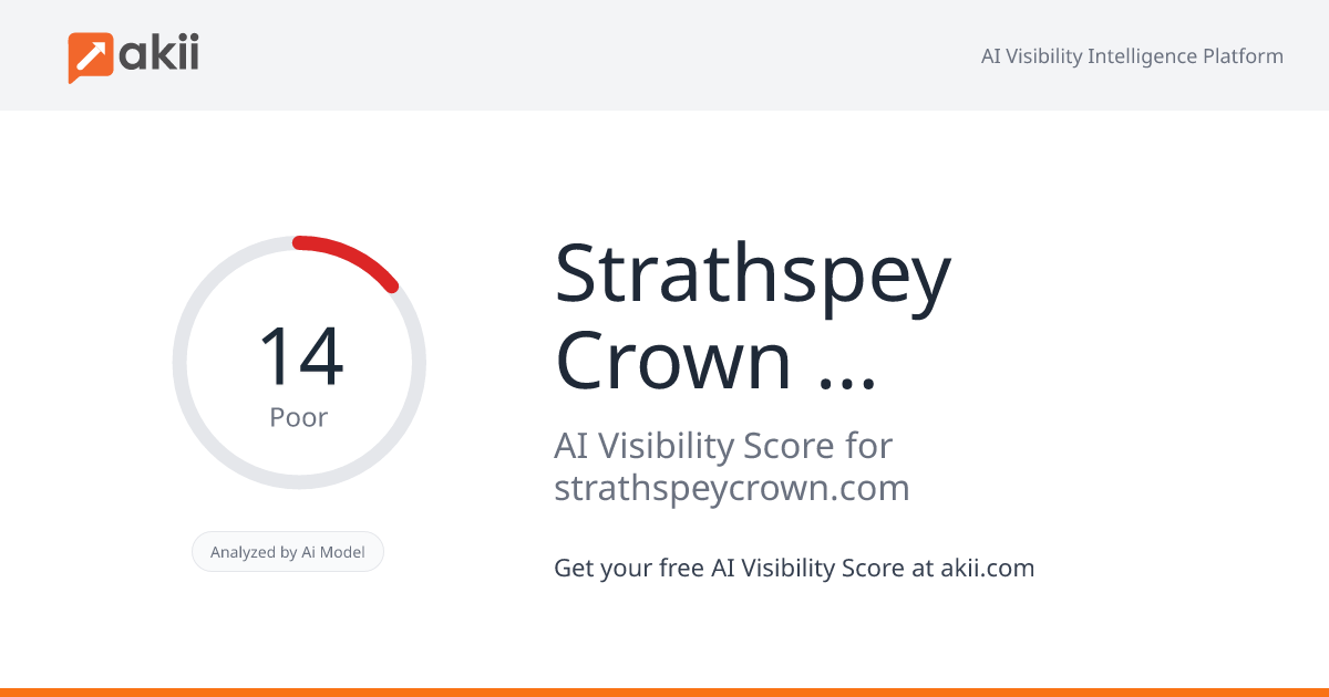 Strathspey Crown Holdings LLC AI Visibility Score