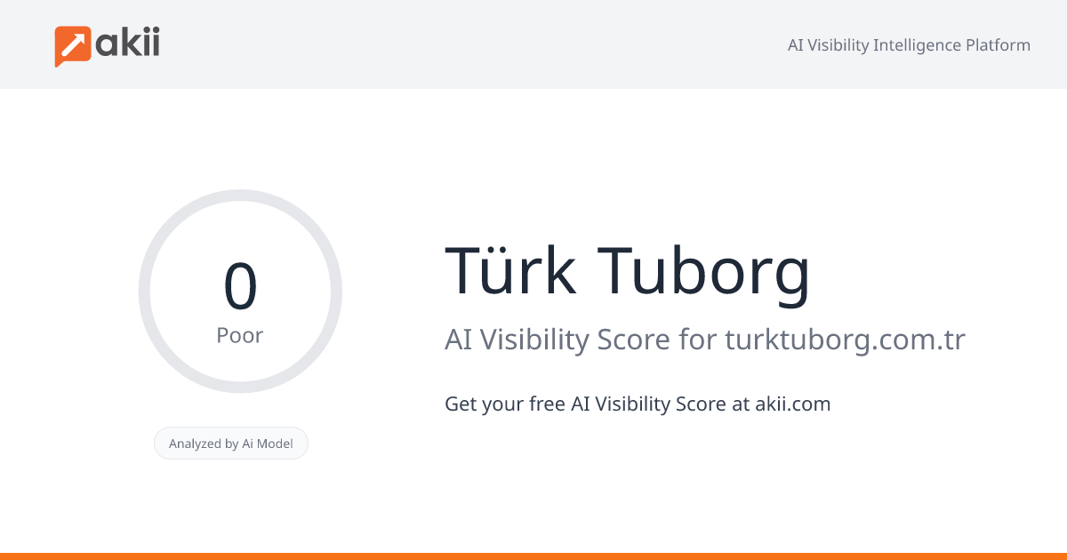 Türk Tuborg AI Visibility Score