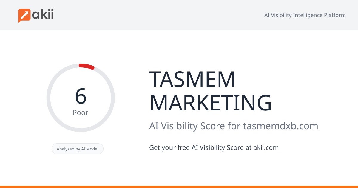 TASMEM MARKETING AI Visibility Score