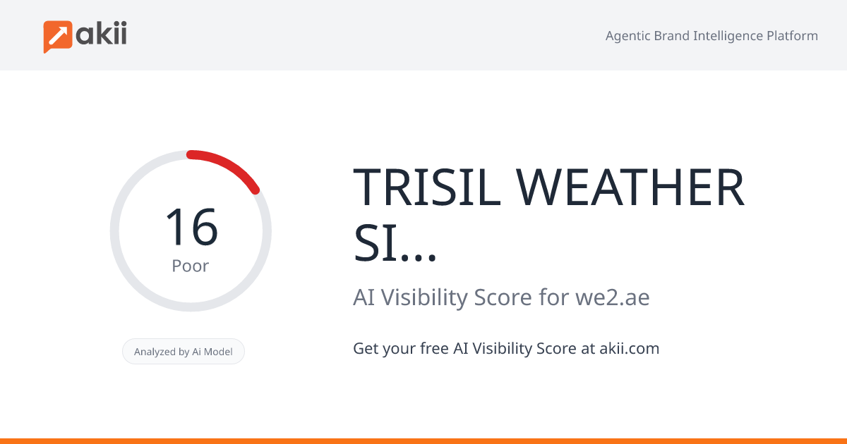 TRISIL WEATHER SILICONE SEALANT TS-7001 AI Visibility Score