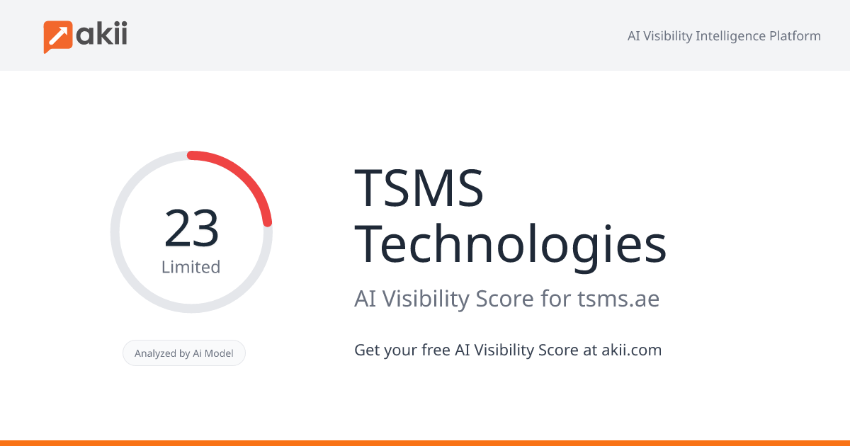 TSMS Technologies AI Visibility Score
