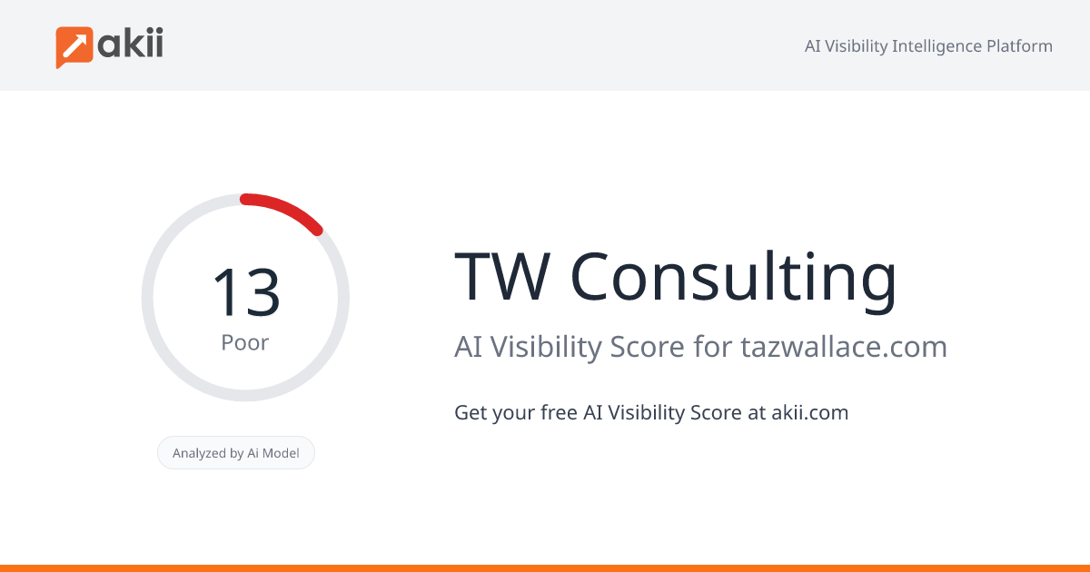 TW Consulting AI Visibility Score