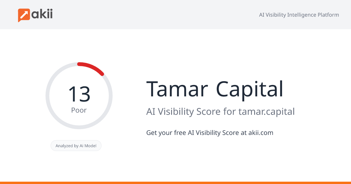 Tamar Capital AI Visibility Score