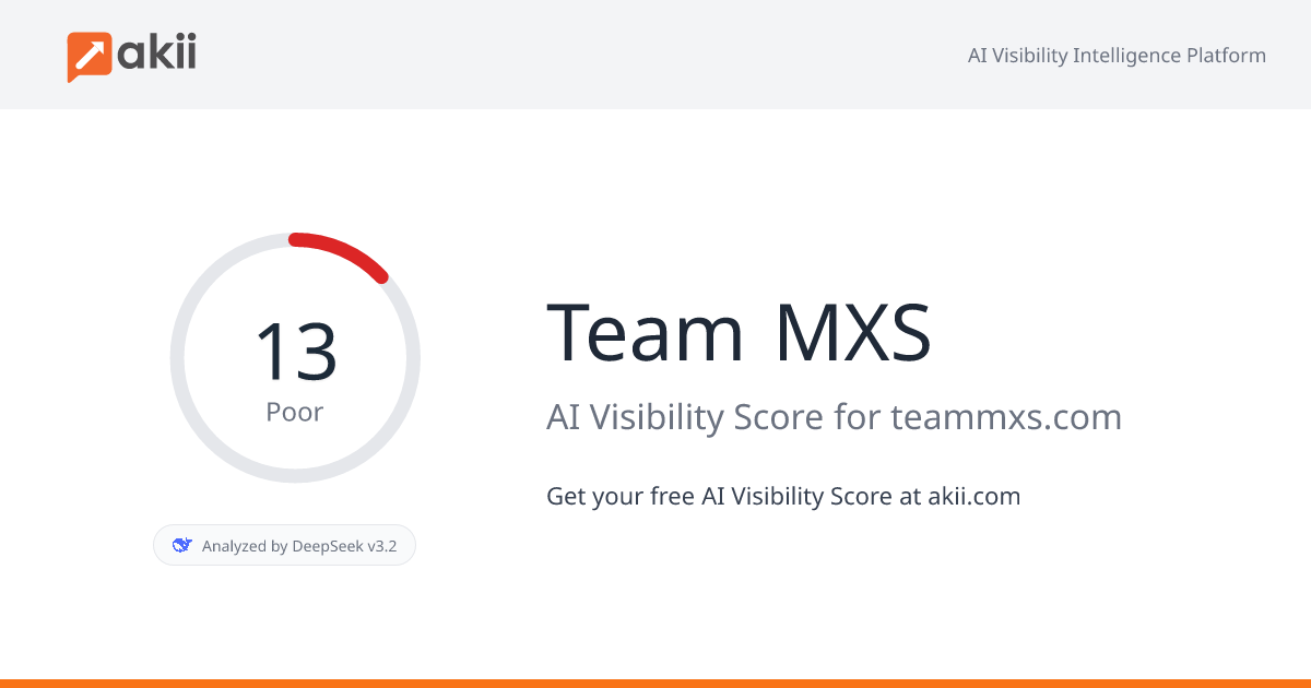 Team MXS AI Visibility Score