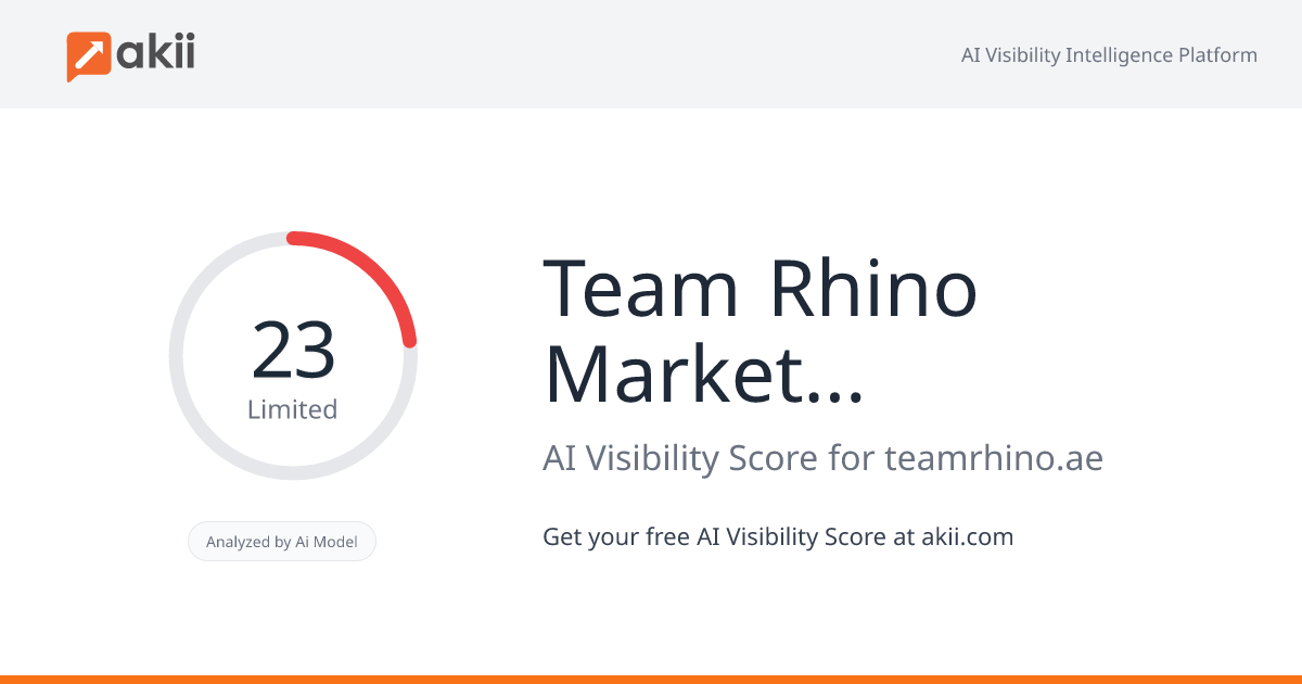 Team Rhino Marketing Consultants AI Visibility Score