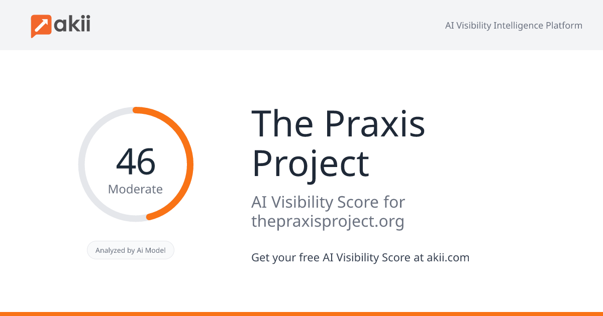 The Praxis Project AI Visibility Score