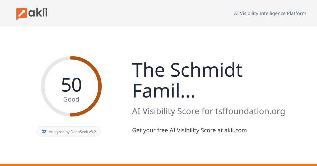 The Schmidt Family Foundation AI Visibility Score