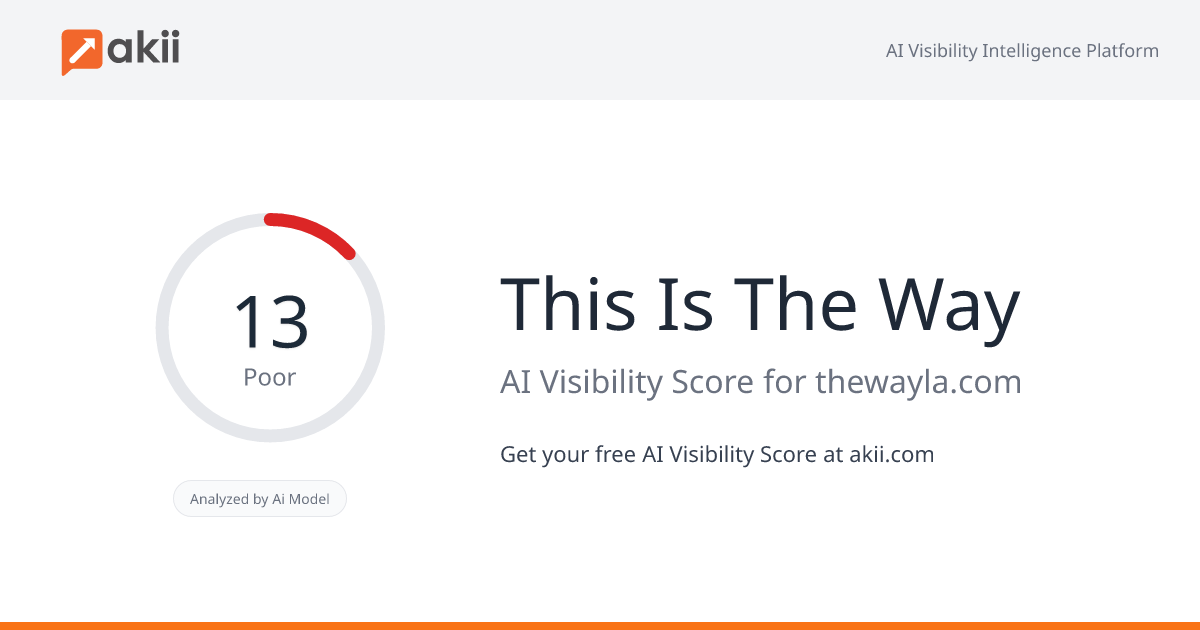 This Is The Way AI Visibility Score