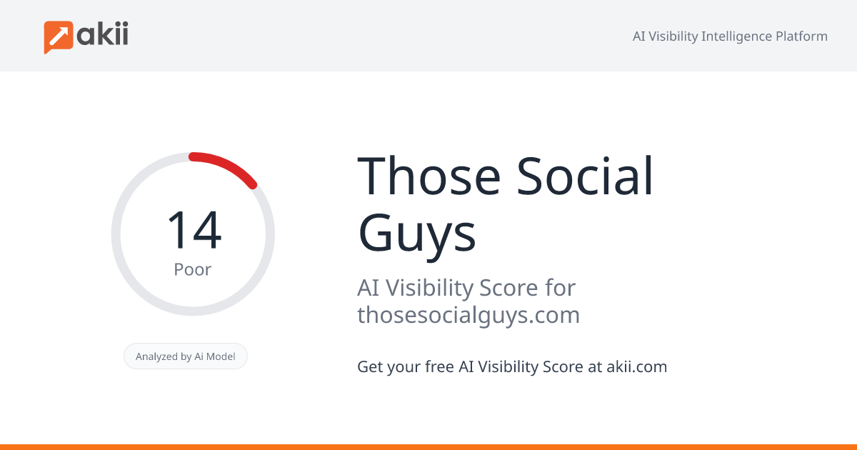 Those Social Guys AI Visibility Score
