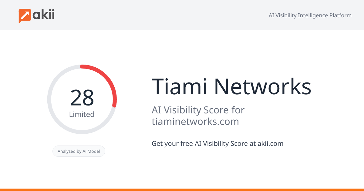 Tiami Networks AI Visibility Score