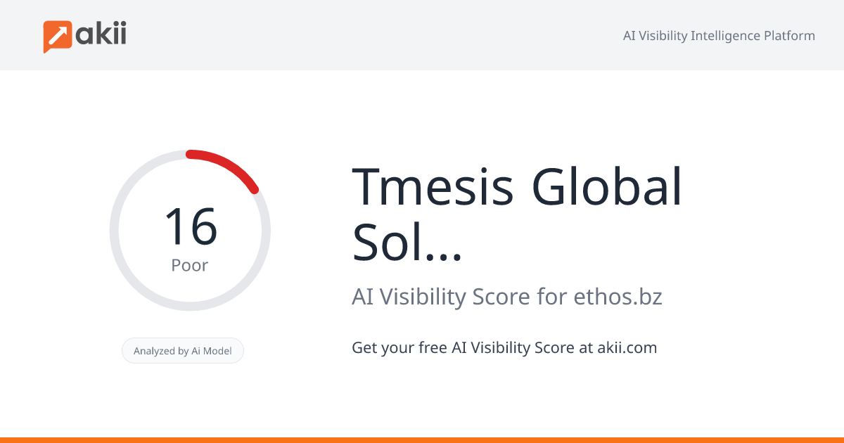 Tmesis Global Solutions AI Visibility Score