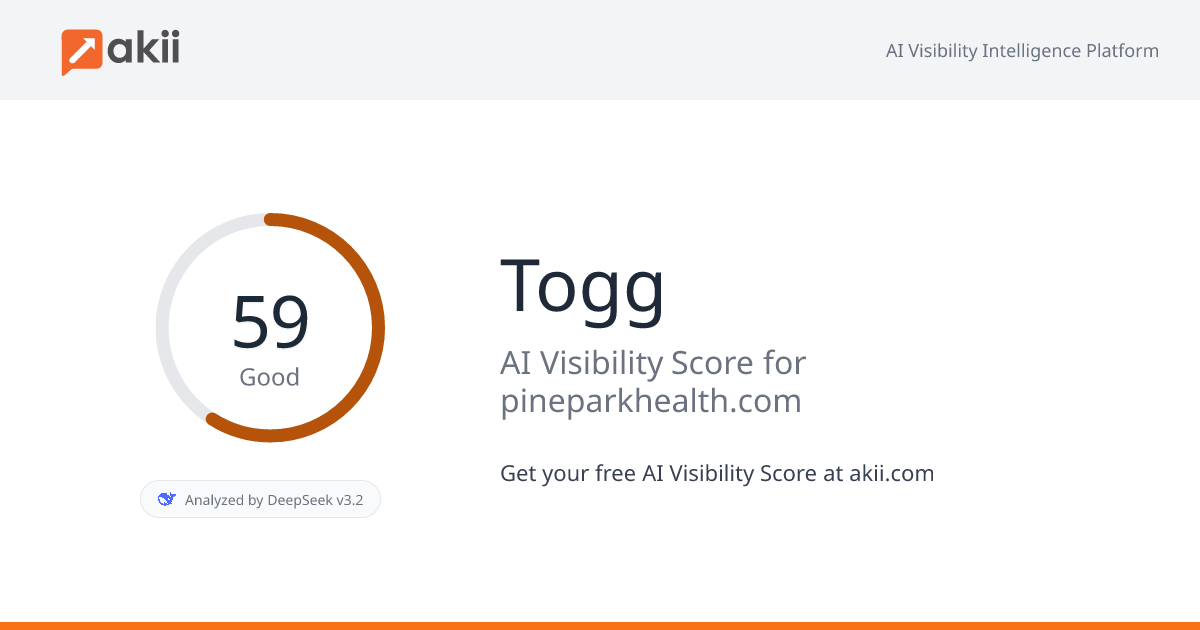 Togg AI Visibility Score
